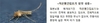 전국에 일본뇌염 경보 발령…
