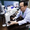 방광류·자궁탈출증 등 골반장기탈출증, 원인과 치료법은?