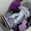 '환자 사망' 양재웅 병원 간호사 등 의료진, 혐의 일부 부인