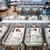 올해 1월생 아기 2만7천명, 7년만에 최대…출산율 '1.0' 육박