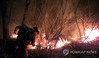 이례적 2월 동시다발 산불…건조한 대기와 강풍이 피해 키워