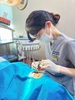 “상악동 거상술 등 고난이도 임플란트 전 정밀 치과 진단 우선해야”